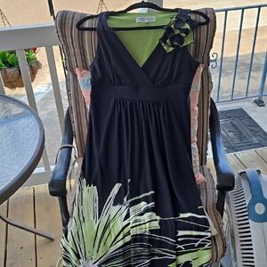 Elegant Black and Green Women's Dress